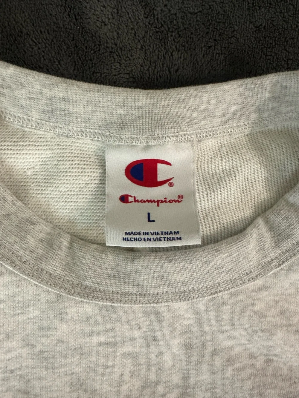 Champion Sweatshirt
